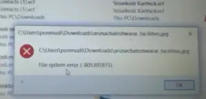 file system error 805305975